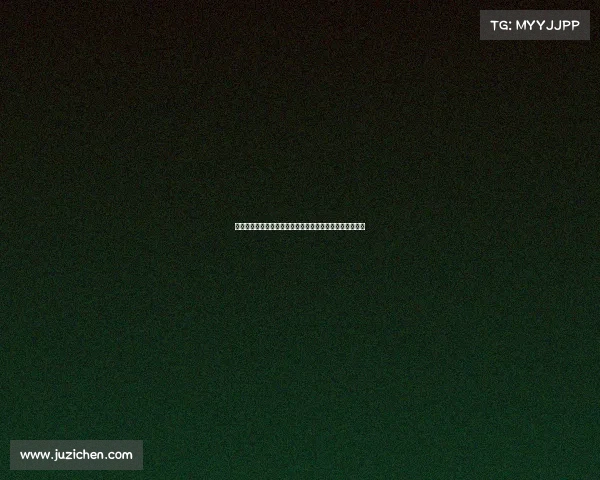 降级区发展与转型：探索新兴区域经济路径与社会融合模式